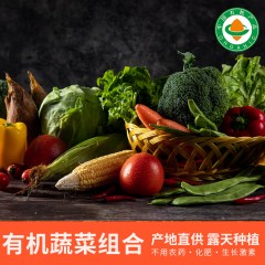 有机蔬菜